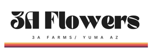 Translation missing: en.3A Flowers  accessibility.home