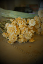 Dried Arrangements