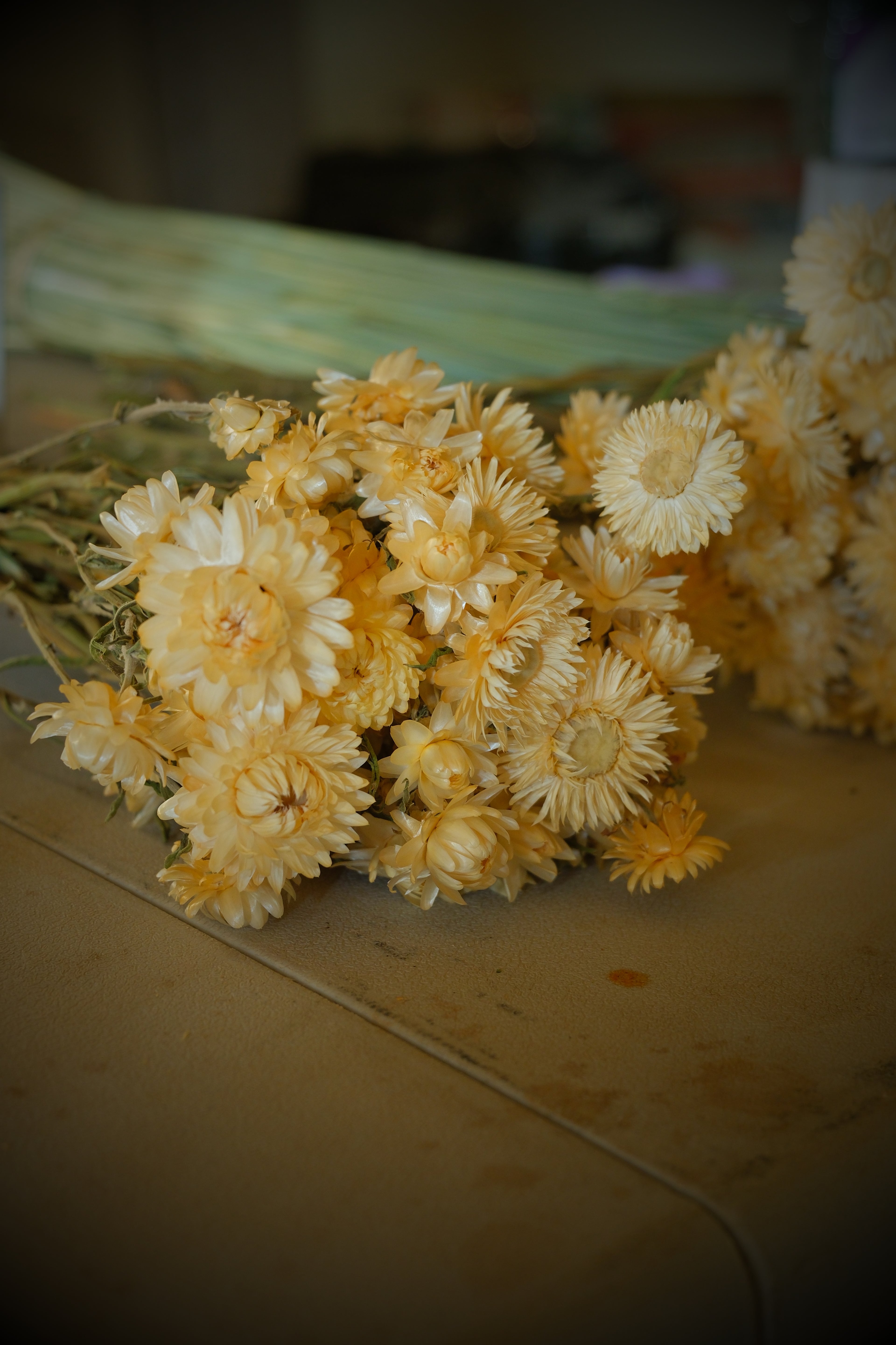 Dried Arrangements