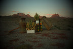 Dried Arrangements