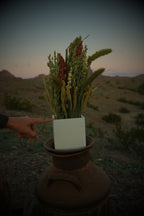 Dried Arrangements