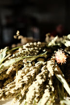 Dried Arrangements