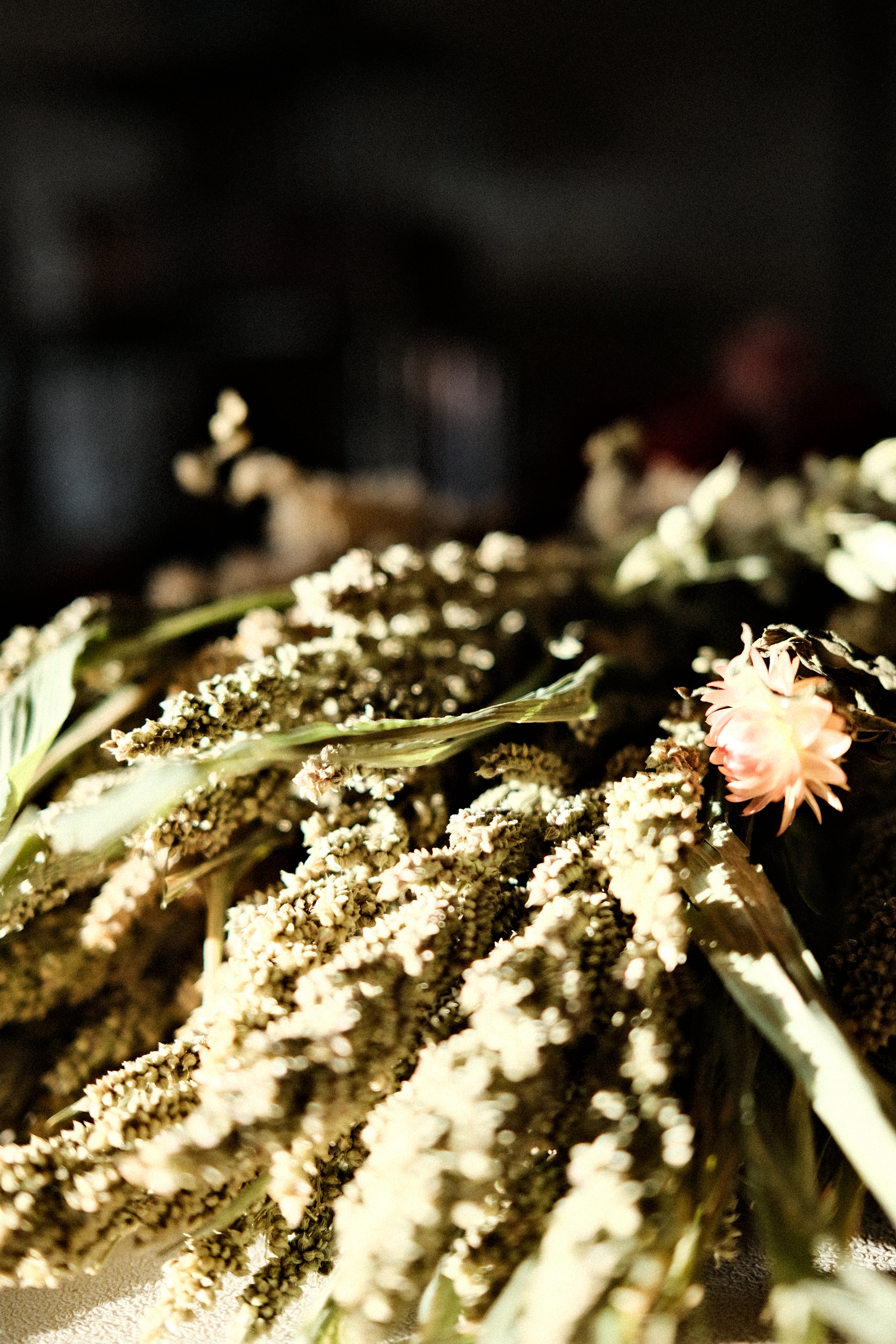 Dried Arrangements